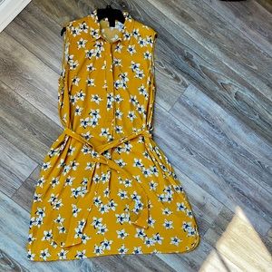 Ann Taylor Sleeveless Dress